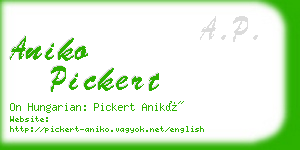 aniko pickert business card